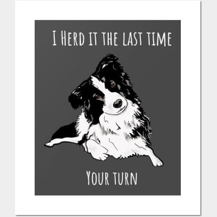 I Herd it the last time Border Collie Posters and Art